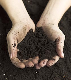 Terroir