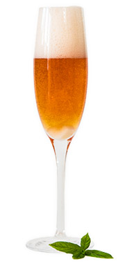 Classic Champagne Cocktail